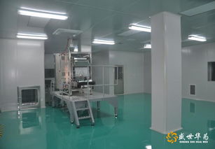 盛世華為 食品廠凈化車(chē)間的專(zhuān)業(yè)服務(wù)商