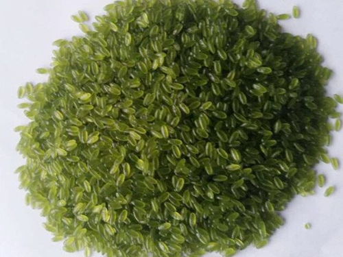 玉米雜糧設(shè)備,黃金米設(shè)備,玉米雜糧面條設(shè)備,雜糧速融粥設(shè)備,雜糧方便面設(shè)備,長春市盛達(dá)食品工業(yè)研究所機(jī)械廠