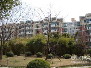 盛都花園 繁華都市中的靜謐綠洲