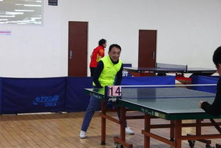 全民健身，國(guó)球杯系列賽引爆乒乓熱潮